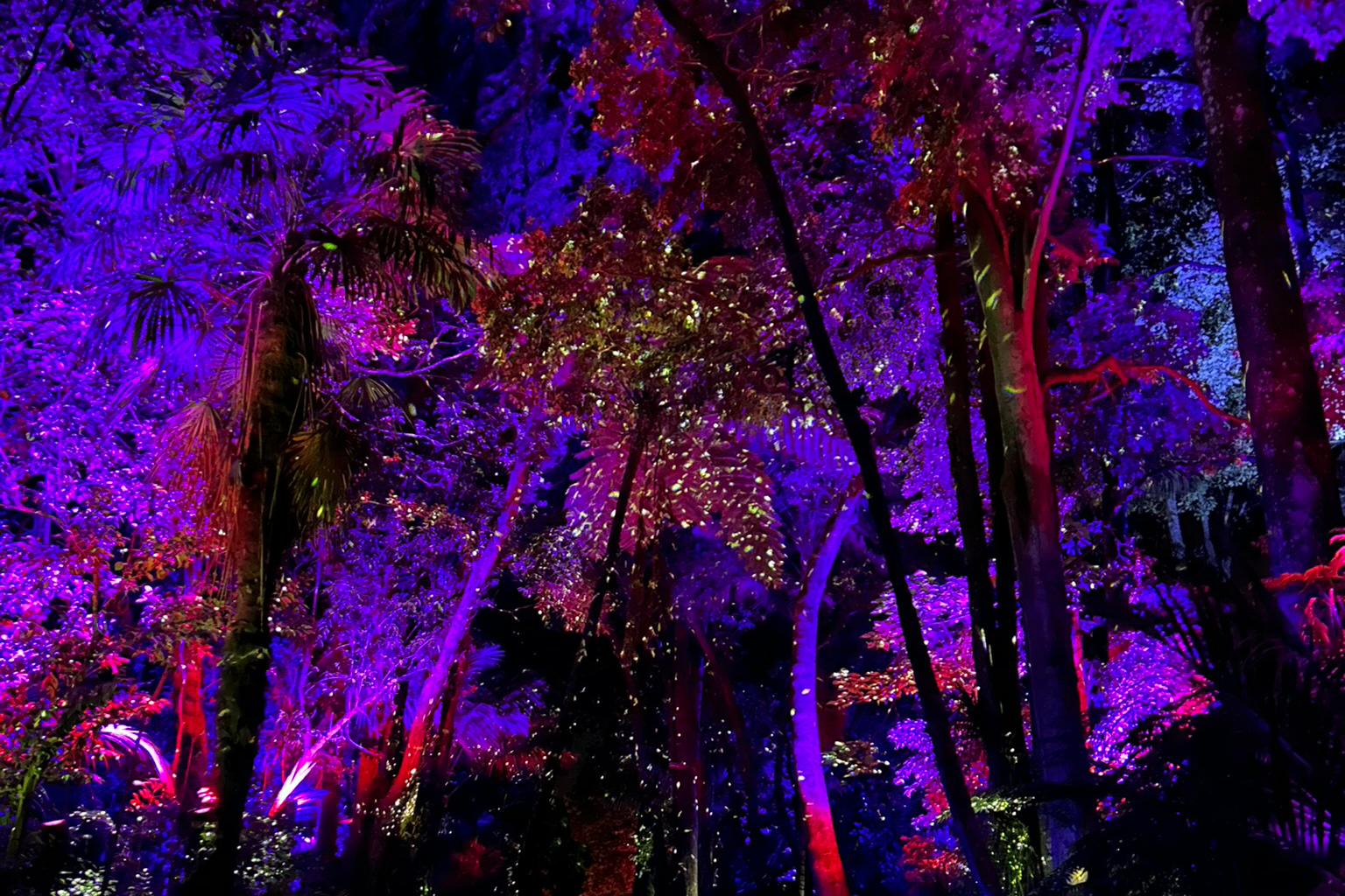 Cosmic Swarm hero image