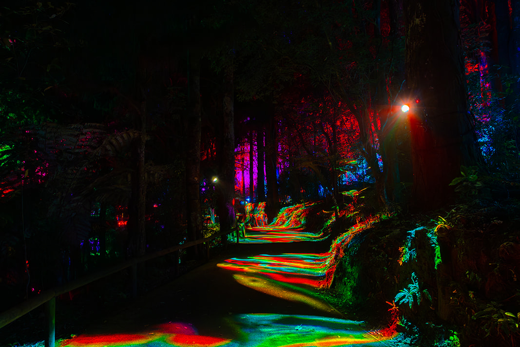 Liquid Laneway hero image