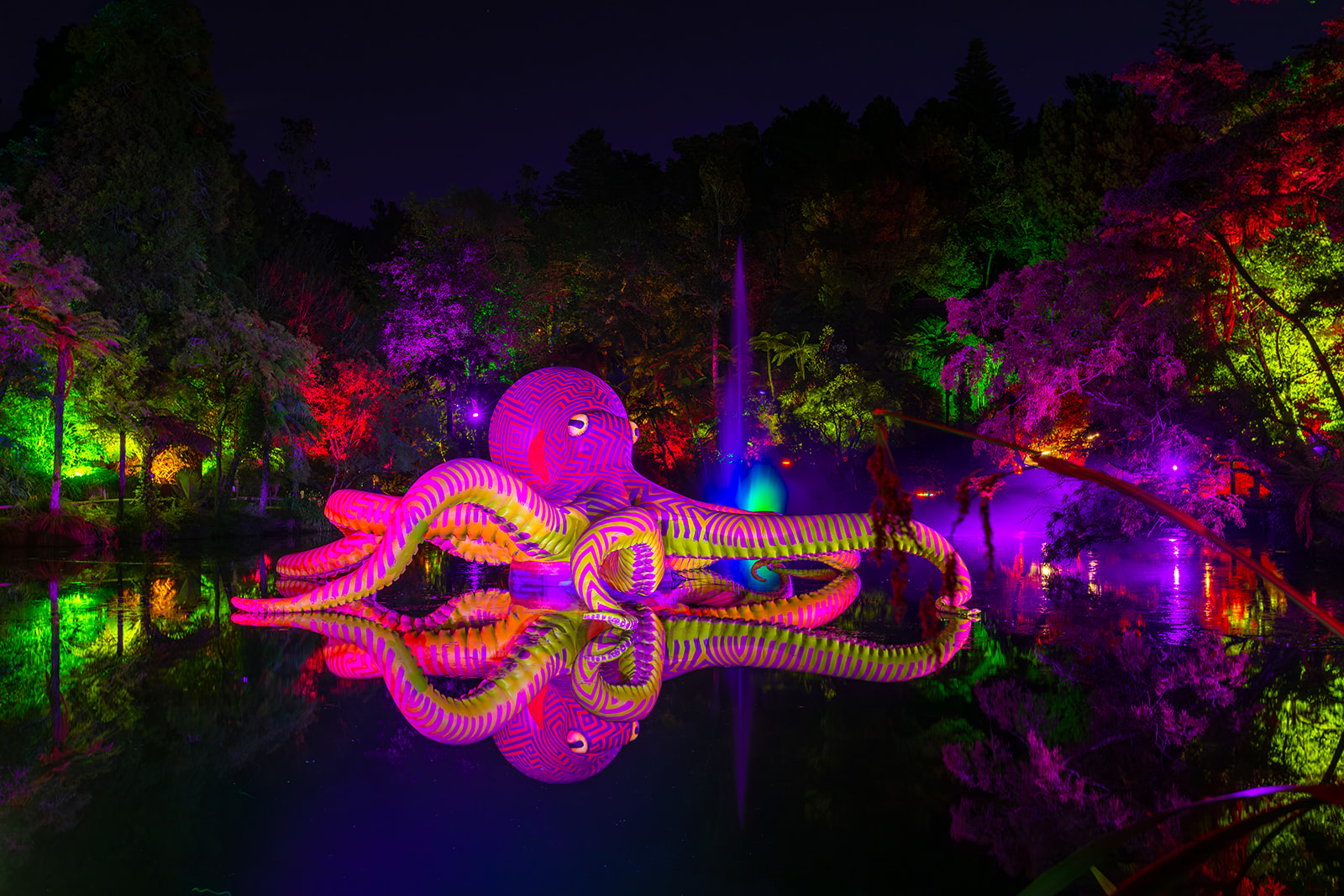 Te Wheke-a-Muturangi hero image